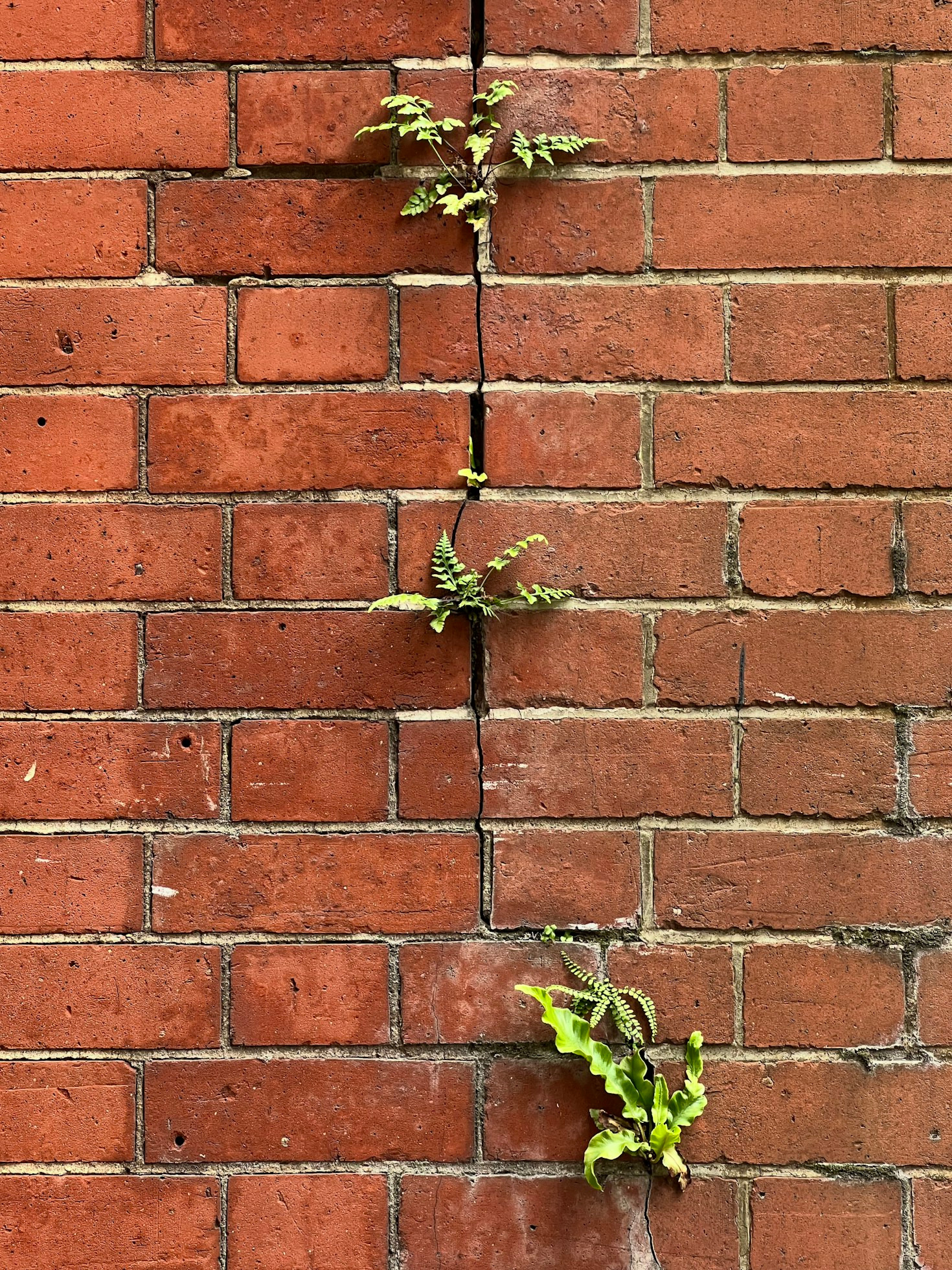 5 Ways Resilience Can Transform Your Life