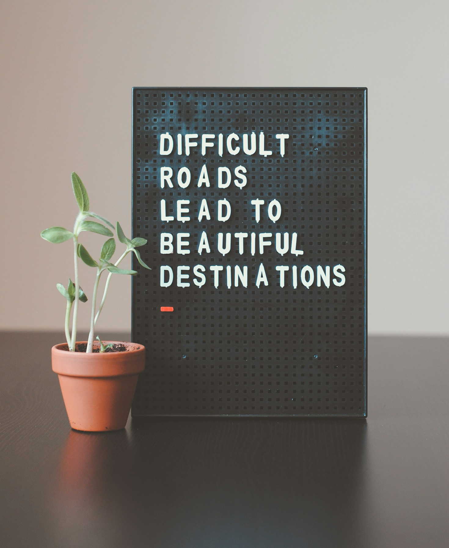 Creating a Resilient Mindset for Lasting Happiness